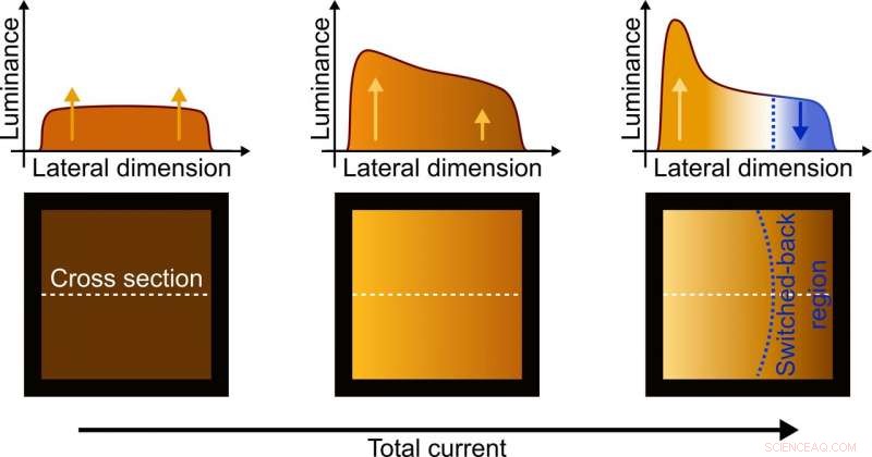Hot OLEDs Reverse Switch: A Breakthrough in Display Efficiency