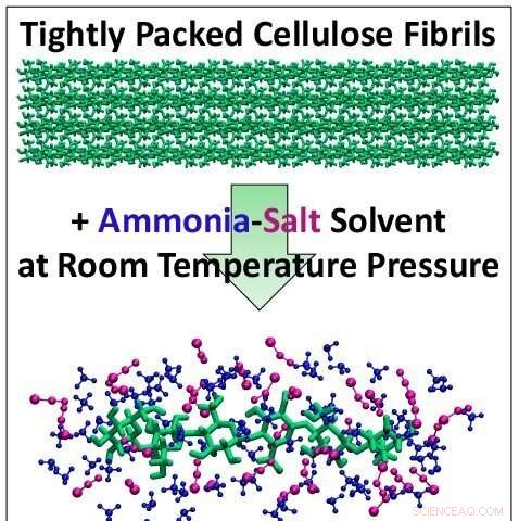 Transforming Plant Waste into Biofuels Made Easy: Cutting-Edge Ammonia‑Salt Pretreatment