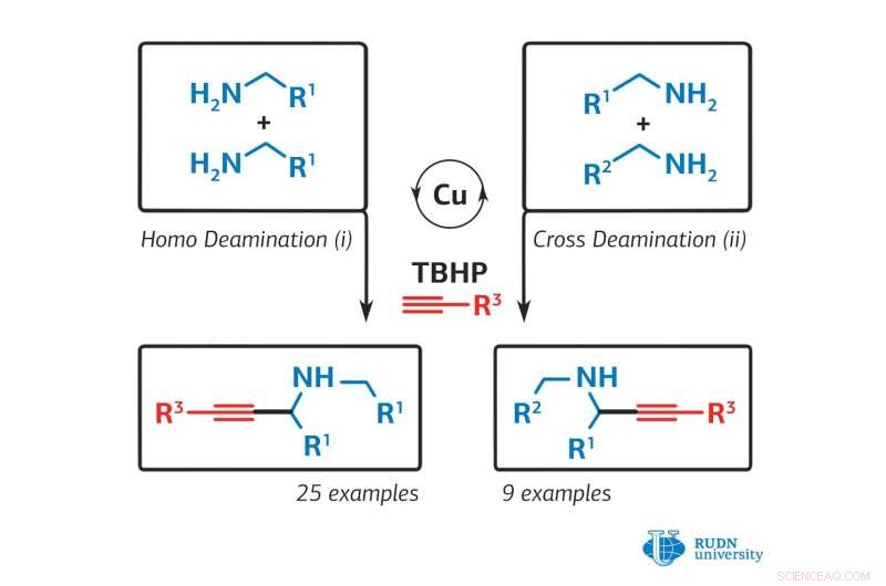 Chemist Proposes Innovative Synthesis Method for Parkinson’s Drug Precursors