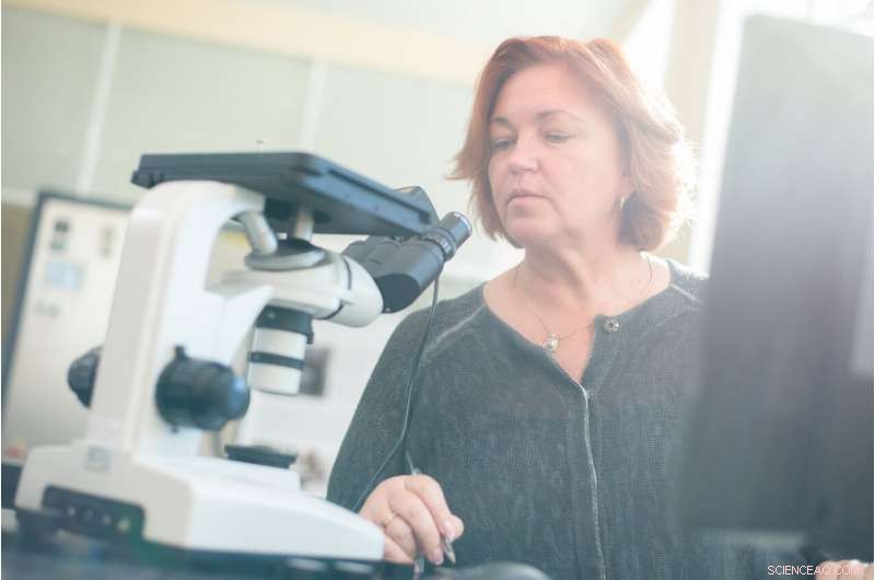 Scientists Develop High-Precision Titanium Parts Using Advanced Additive Manufacturing