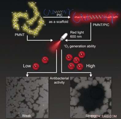 Advanced Biomimetic Hydrogel with Photodynamic Antimicrobial Action