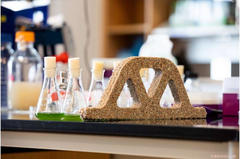 Bacteria-Infused Materials Revitalize Sustainable Construction