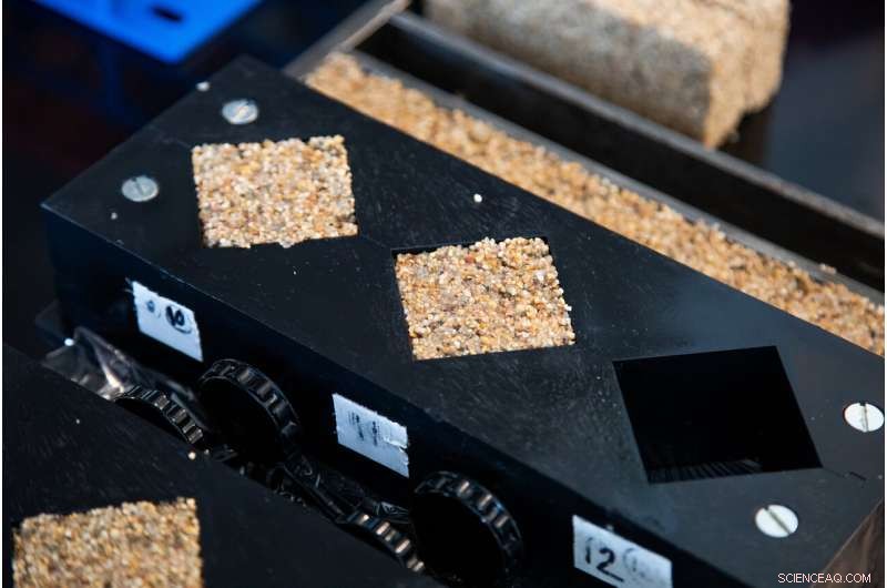 Bacteria-Infused Materials Revitalize Sustainable Construction