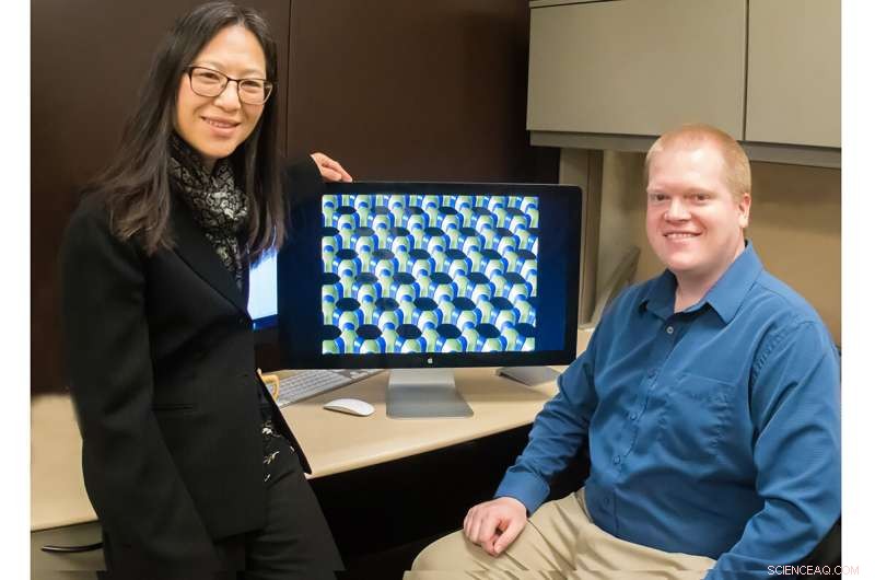 Scientists Master Internal Architecture of Self-Assembled Composite Materials