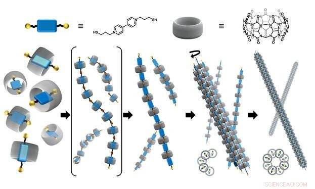 LEGO-Style Self-Assembled Artificial Microtubules for Hierarchical Nanostructure Design