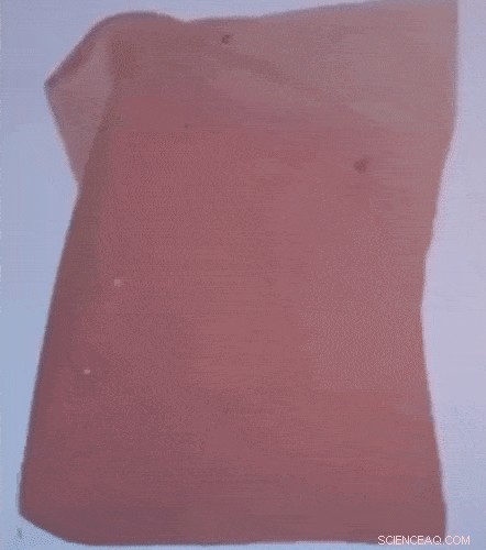 Eliminating Mechanical Breathing for Reliable Smart Windows