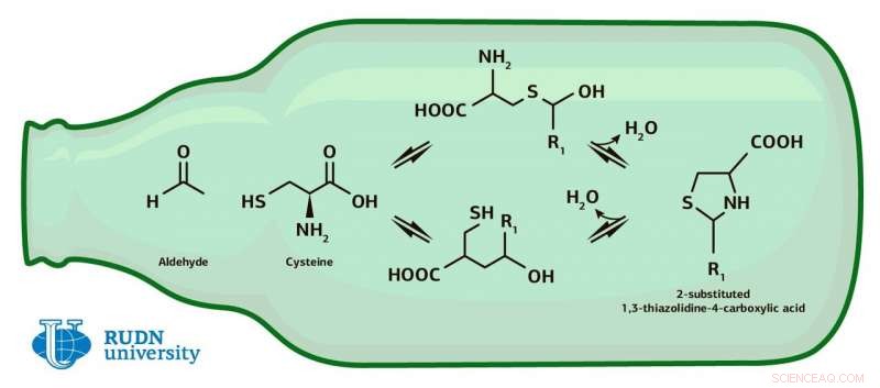 Chemist Develops Innovative Technique to Quantify Beer Taste