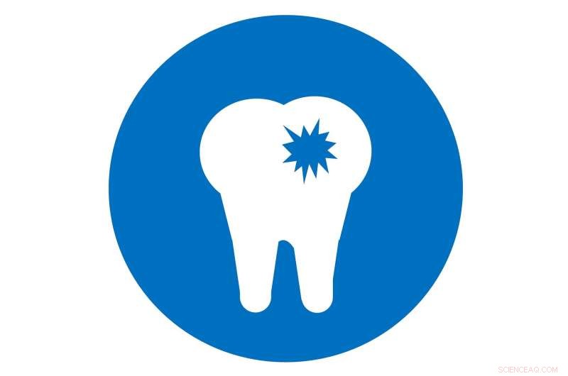 Bioactive Peptide: A New Frontier for Preventing and Healing Tooth Decay