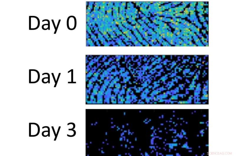 Fingerprint Residues Reveal Their Age: New Chemical Analysis Uncovers Timelines