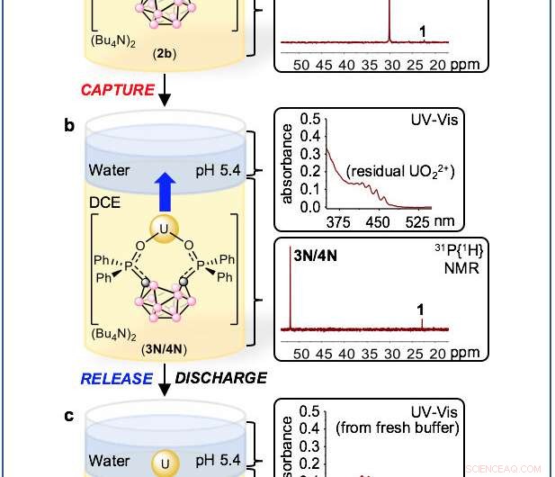 Researchers Innovate Electrochemical Technique to Extract Uranium and Other Metal Ions from Solution