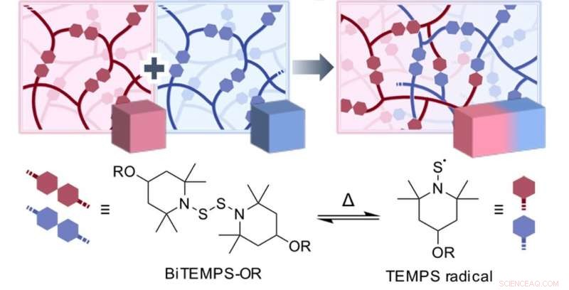 Efficient Fusion of Diverse Polymers Using BiTEMPS Linkers