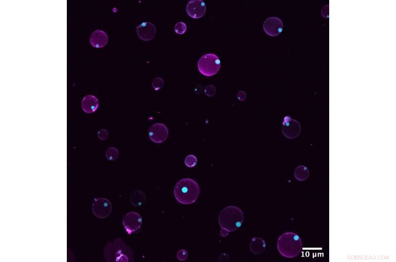 Synthetic Cells Respond Dynamically to Environmental Stimuli