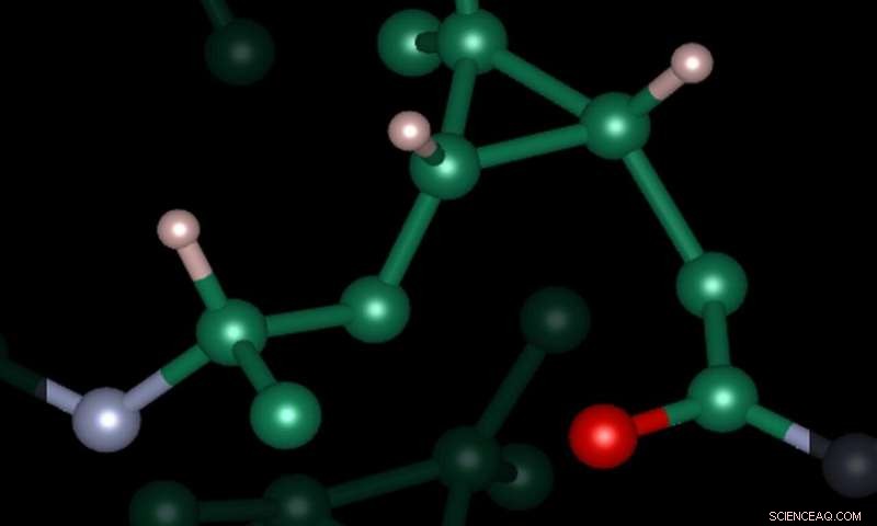 Developing a New Bio‑Based Polyamide from Cellulose By‑Products