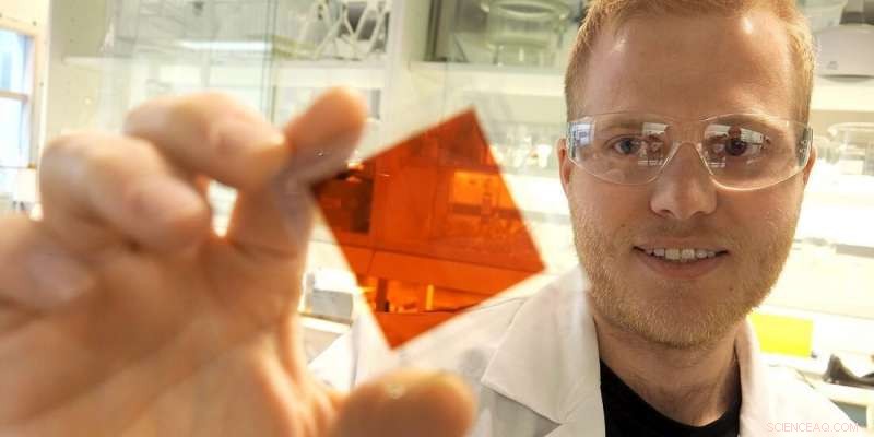 Nature-Inspired Solar Cells: Combining Beauty and Efficiency