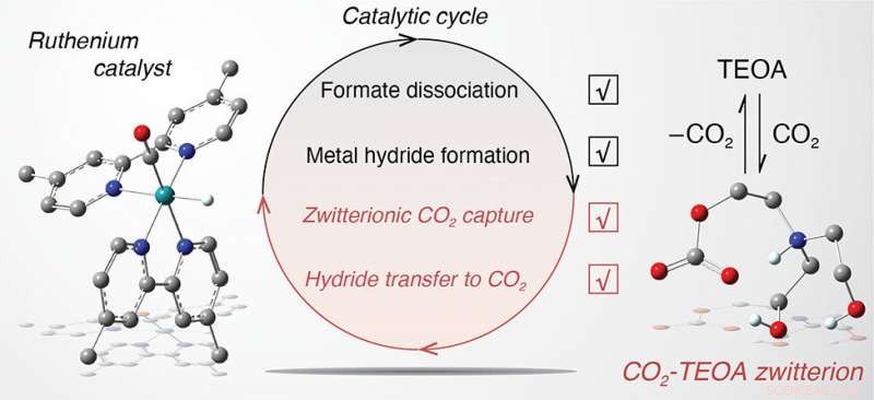 Tracking Intermediates in CO2‑to‑Formate Conversion with Metal Catalysts