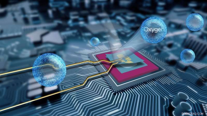 Innovative Encapsulation Technique Safeguards Electronic Properties of Sensitive Materials