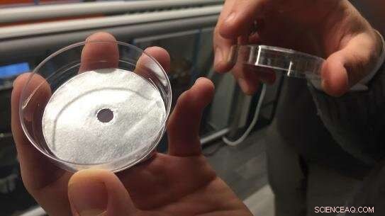 Breakthrough Copolymer Enhances Hydrogen Fuel Cell Efficiency