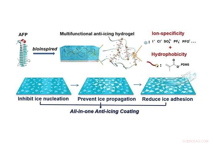Pioneering Hydrogel Coating Blocks Ice Formation Through Three Innovative Mechanisms