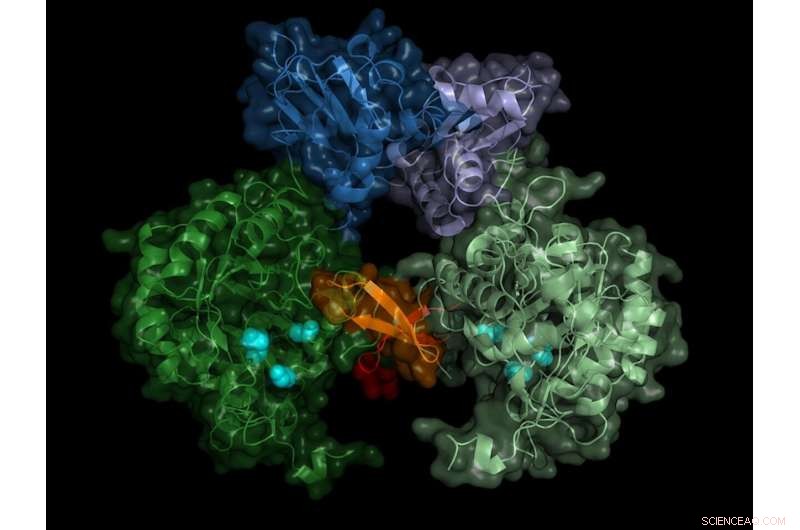 Innovative Drug Target Identified for Sleeping Sickness