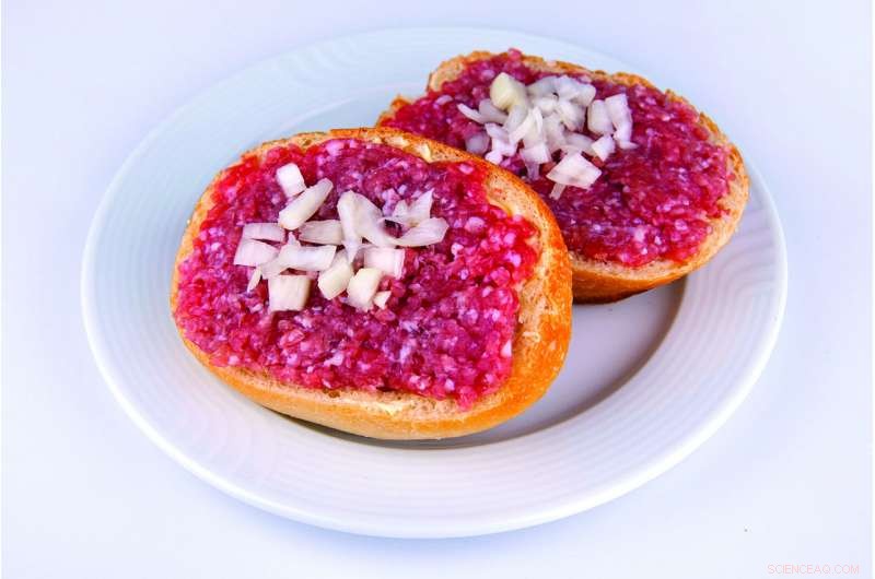 Fast, Reliable Salmonella Detection in Food with Rapid Testing