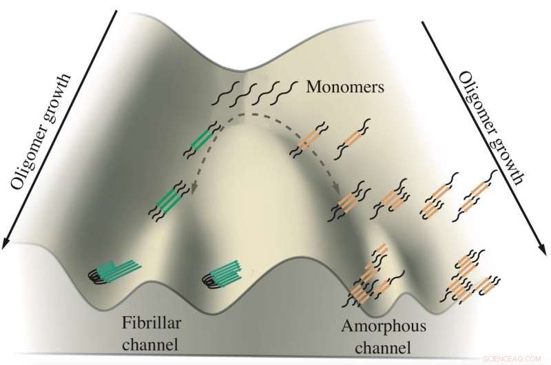 Tau Protein Aggregation: Fibrils or Amorphous Clumps—Choosing the Path
