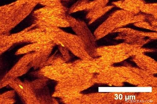 Researchers Unveil Innovative Non-Sticky Gel Technology