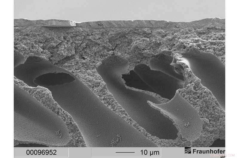 Polymer Membranes: Revolutionizing Oxygen Transport in the Human Body
