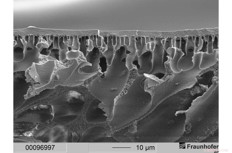 Polymer Membranes: Revolutionizing Oxygen Transport in the Human Body