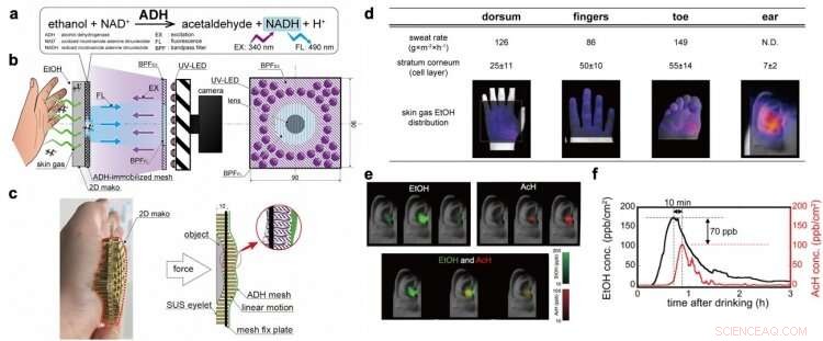 Revealing the Unseen: A Breakthrough Gas Imaging System