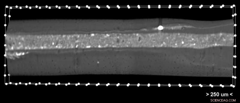 Groove‑Engineered Scaffolds Show Promising Results for Advanced Tissue Healing