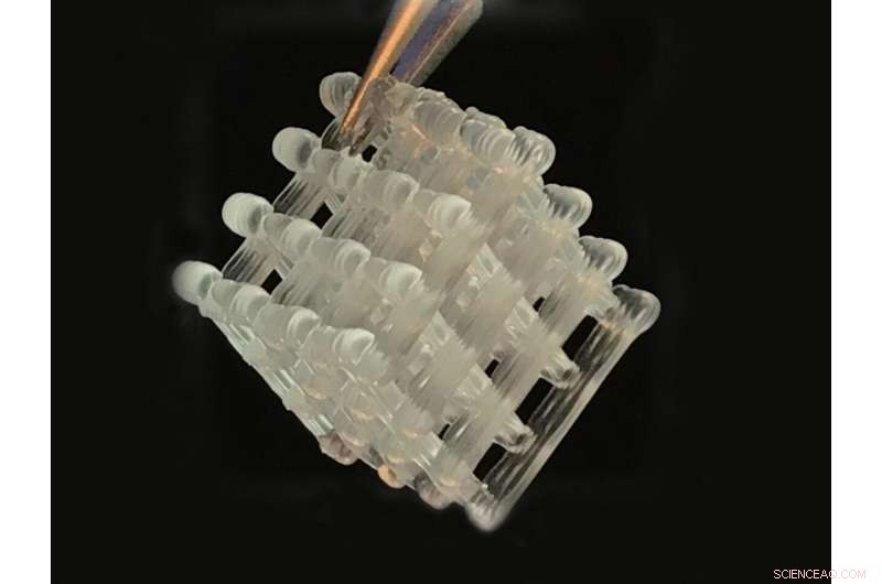 Revolutionary Hydrogel Platform Enables On-Demand Production of Medicines and Chemicals