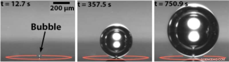 Optimizing Electrochemical Performance: Understanding Bubble Formation and Its Impact