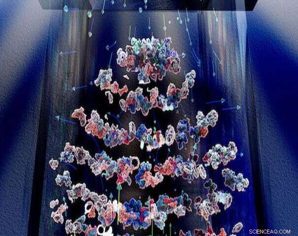 Levitation-Enhanced Protein Diagnostics: A Breakthrough for Opioid Abuse and Disease Detection