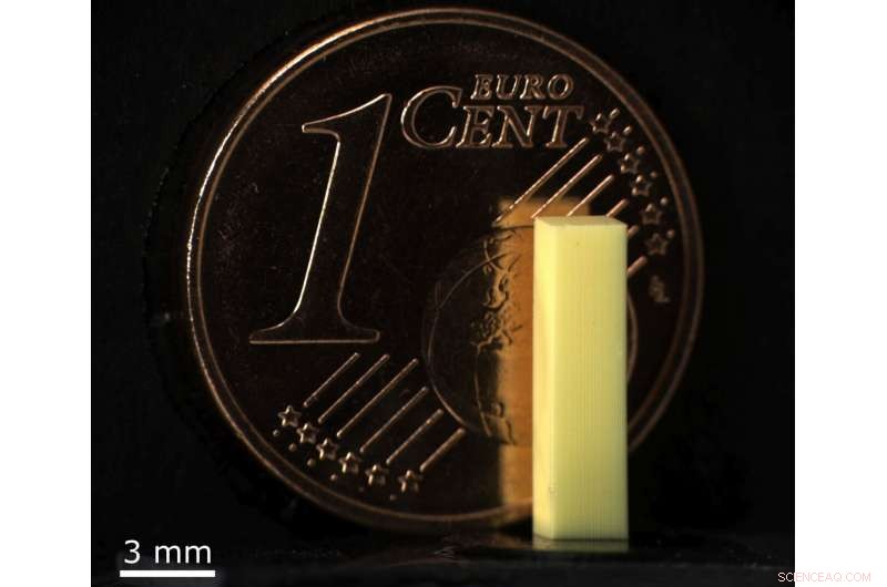 Fastest High‑Precision 3‑D Printer: Unmatched Speed and Accuracy