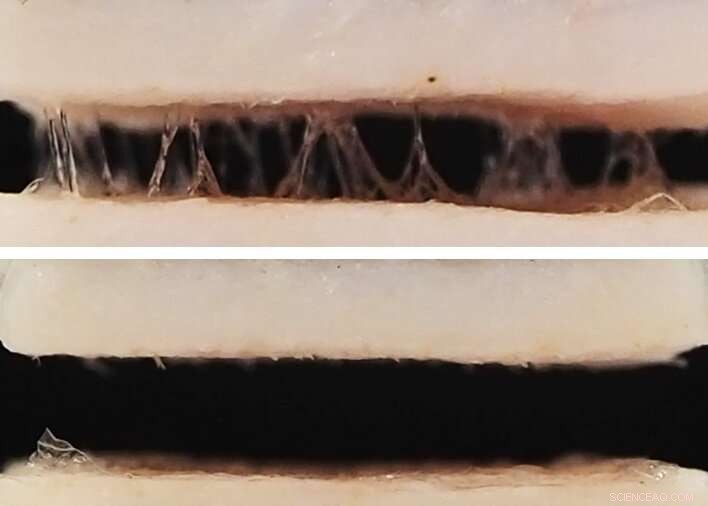 Enhancing Adhesive Performance for Wearable Sensor Applications