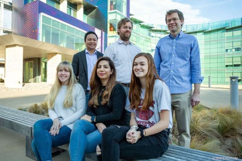 Researchers Illuminate Path to Next‑Generation MRI Contrast Agents