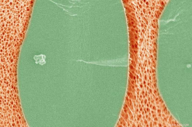 Scientists Develop Stretchable, Self‑Healing, Self‑Protective Material