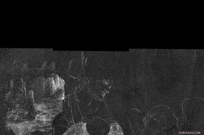 Advanced Algorithm Reveals Hidden Figures in Leonardo da Vinci s  Virgin of the Rocks 