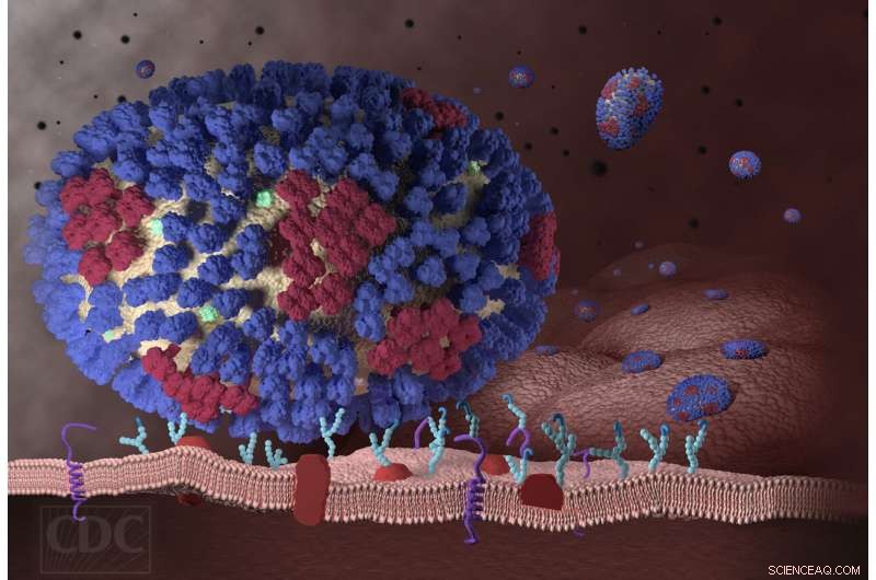 Rutgers Team Launches Real-Time Flu Mutation Tracking Tool