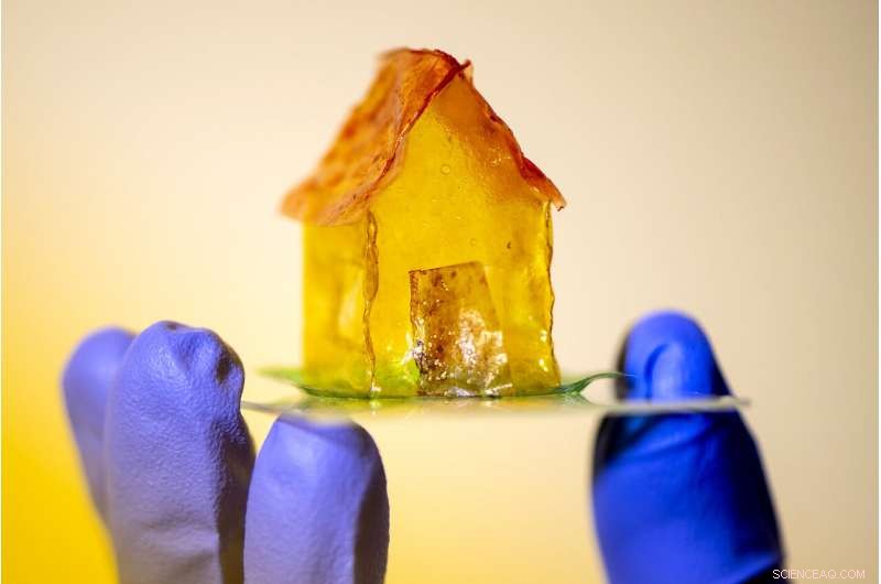 Bacteria-Engineered Homes: The Future of Sustainable Construction