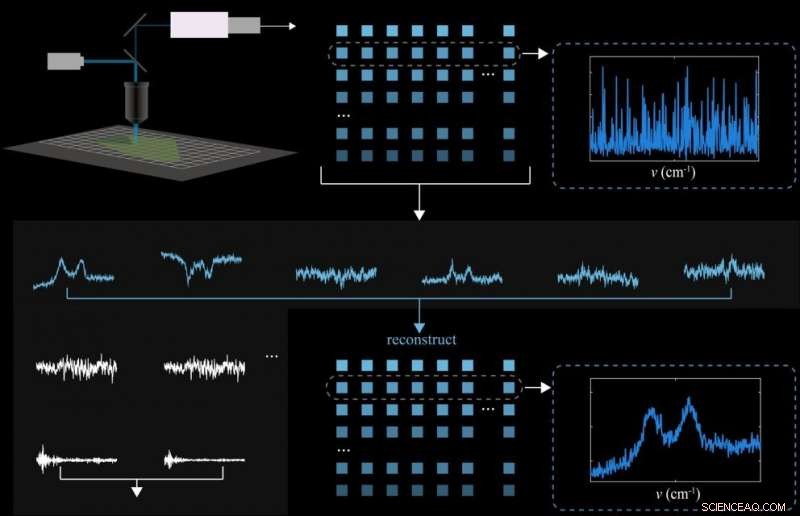 Accelerated Graphene Mapping: 50× Faster Imaging for Advanced Materials
