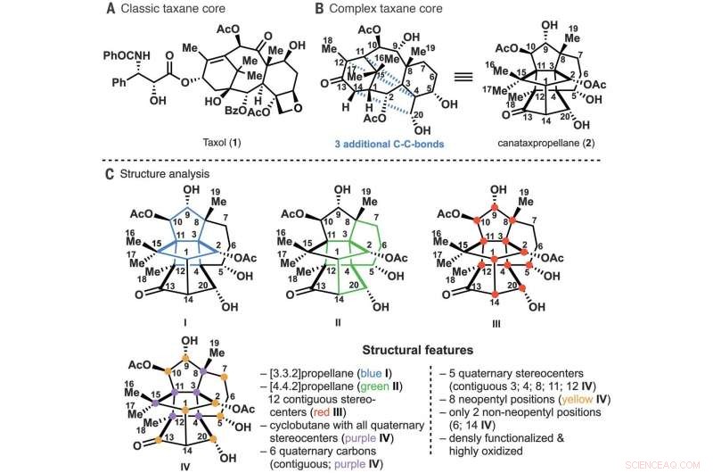 First Total Synthesis of (–)-Canataxpropellane Achieved: A Milestone in Complex Taxane Chemistry