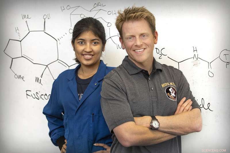 Scientists Discover Fungus-Derived Compound Offering New Insights into Cancer Cell Interactions