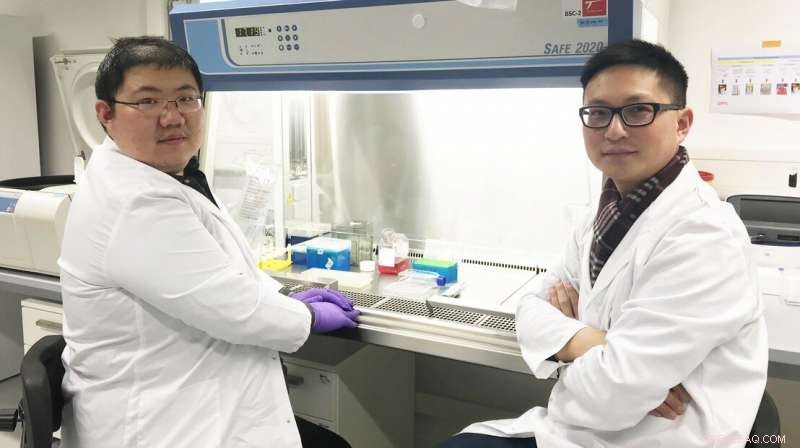 Personalized Cancer Vaccines: New Delivery Method Promises Enhanced Efficacy