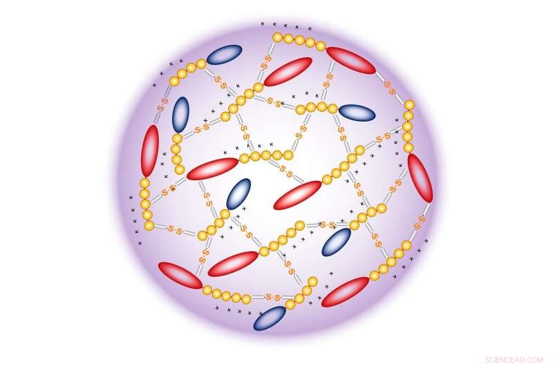 Personalized Cancer Vaccines: New Delivery Method Promises Enhanced Efficacy