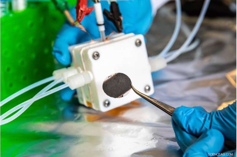 Reverse Fuel Cell Transforms CO₂ Waste into High-Value Products 10× Faster Than Before
