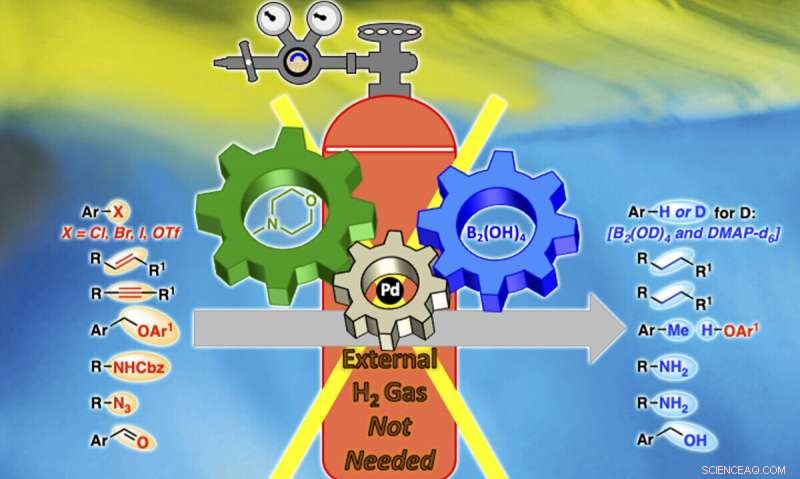Chemists Pioneer Safer, Greener Hydrogenation Techniques
