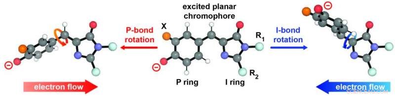 Electric Fields Modulate Photoisomerization in Light-Responsive Proteins