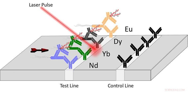 Laser‑Driven Lanthanide Assay Enhances Pathogen Detection Accuracy