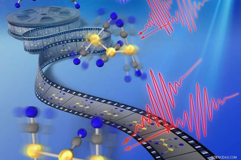 Real-Time Tracking of Gold Bond Formation Using Cutting-Edge Molecular Spectroscopy